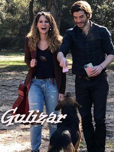 Гюлизар турецкий сериал