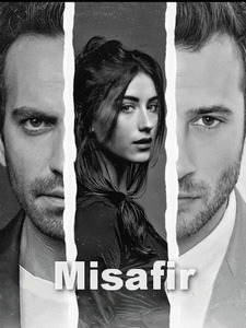 Гость турецкий сериал