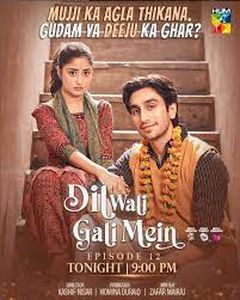 Пакистанский сериал Домик наших сердец Все серии (Пакистан, 2025) смотреть онлайн на русском языке в хорошем качестве бесплатно.