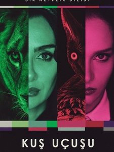 Сметая все на своем пути / Полет птицы турецкий сериал