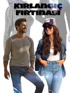 Шторм ласточки турецкий сериал